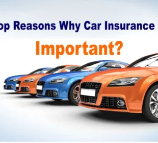 Motor Insurance